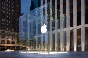 apple-plastic-bags-sacs-plastiques